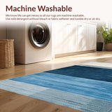 Ultra Soft Area Rug, Non Slip, Stain Resistant, Washable Area Rugs for Living Room, Bedroom, Trendy Cozy Shaggy Aesthetic(Blue)
