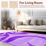 Ultra Soft Area Rug, Non Slip, Stain Resistant, Washable Area Rugs for Living Room, Bedroom, Playful Colorful Shag Elegance(Purple)
