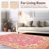 Ultra Soft Area Rug, Non Slip, Stain Resistant, Washable Area Rugs for Living Room, Bedroom, Rustic Ethnic Pattern Composition(Pink)
