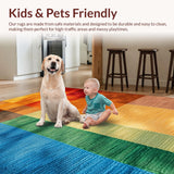 Ultra Soft Area Rug, Non Slip, Stain Resistant, Washable Area Rugs for Living Room, Bedroom, Modern Farmhouse Burnt Orange Living Room Carpet(Blue)