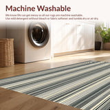 Ultra Soft Area Rug, Non Slip, Stain Resistant, Washable Area Rugs for Living Room, Bedroom, Elegant Black and Ivory Contrast(Beige)
