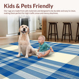Ultra Soft Area Rug, Non Slip, Stain Resistant, Washable Area Rugs for Living Room, Bedroom, Rustic Warm Earthy Check Pattern(Beige)