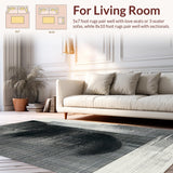 Ultra Soft Area Rug, Non Slip, Stain Resistant, Washable Area Rugs for Living Room, Bedroom, Abstract Black and White Grid Rug Artistic Floor Art(Black)
