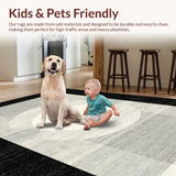 Ultra Soft Area Rug, Non Slip, Stain Resistant, Washable Area Rugs for Living Room, Bedroom, Outdoor Entry Stripe Rug Chic Layered Porch Accent Welcome Mat Design(Black)