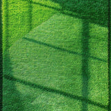 Elegant Earthy Green Textured Layer(Green)