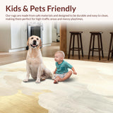 Ultra Soft Area Rug, Non Slip, Stain Resistant, Washable Area Rugs for Living Room, Bedroom, Cloud Beige Area Serene Hues for Tranquil Home Carpeting(Beige)