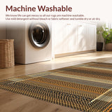 Ultra Soft Area Rug, Non Slip, Stain Resistant, Washable Area Rugs for Living Room, Bedroom, Cozy Textured Rustic Charm(Brown)