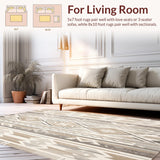 Ultra Soft Area Rug, Non Slip, Stain Resistant, Washable Area Rugs for Living Room, Bedroom, Boho Chic Abstract Beige and Gray with a Southwestern Twist(Gray)
