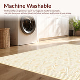 Ultra Soft Area Rug, Non Slip, Stain Resistant, Washable Area Rugs for Living Room, Bedroom, Woven Lattice(Beige)