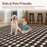 Ultra Soft Area Rug, Non Slip, Stain Resistant, Washable Area Rugs for Living Room, Bedroom, Elegant Warm Tones Fringed Texture(Brown)