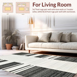 Ultra Soft Area Rug, Non Slip, Stain Resistant, Washable Area Rugs for Living Room, Bedroom, Minimalist Two-Tone Linear Rug with Striking Black and White Stripe Composition(Gray)