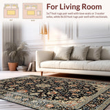 Ultra Soft Area Rug, Non Slip, Stain Resistant, Washable Area Rugs for Living Room, Bedroom, Sophisticated Traditional Print Motif(Black)
