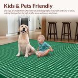 Ultra Soft Area Rug, Non Slip, Stain Resistant, Washable Area Rugs for Living Room, Bedroom, Elegant Checker Motif in Green(Green)