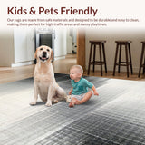 Ultra Soft Area Rug, Non Slip, Stain Resistant, Washable Area Rugs for Living Room, Bedroom, Chic Farmhouse Door Mat with Black and White Stripes for Entryway(Gray)