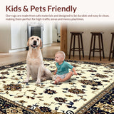 Ultra Soft Area Rug, Non Slip, Stain Resistant, Washable Area Rugs for Living Room, Bedroom, Eco Friendly Area for Wooden Stairs with Non Slip Treads(Ivory)