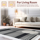 Ultra Soft Area Rug, Non Slip, Stain Resistant, Washable Area Rugs for Living Room, Bedroom, Contemporary Dual-Tone Linear Rug with Minimalist Graphic Design(Black)