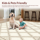 Ultra Soft Area Rug, Non Slip, Stain Resistant, Washable Area Rugs for Living Room, Bedroom, Artisan Geo Lattice Area with Neutral Tones and Interlocking Diamond Motifs(Beige)