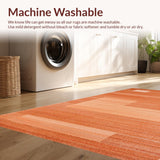 Ultra Soft Area Rug, Non Slip, Stain Resistant, Washable Area Rugs for Living Room, Bedroom, Elegant Minimalist Earthy Palette(Orange)