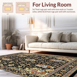 Ultra Soft Area Rug, Non Slip, Stain Resistant, Washable Area Rugs for Living Room, Bedroom, Paisley Area for(Black)