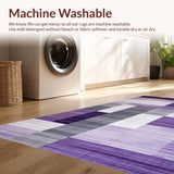 Ultra Soft Area Rug, Non Slip, Stain Resistant, Washable Area Rugs for Living Room, Bedroom, Rustic Purple Grey Blend(Purple)