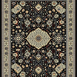 Ultra Soft Area Rug, Non Slip, Stain Resistant, Washable Area Rugs for Living Room, Bedroom, Rustic Transitional Floral Elements(Black)