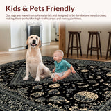 Ultra Soft Area Rug, Non Slip, Stain Resistant, Washable Area Rugs for Living Room, Bedroom, Dark Elegant Abstract Motif(Black)