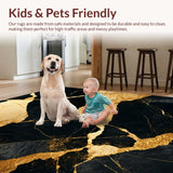Ultra Soft Area Rug, Non Slip, Stain Resistant, Washable Area Rugs for Living Room, Bedroom, Modern Abstract Black Gold Living Room Carpet(Black)