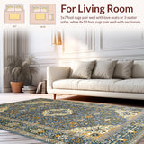 Ultra Soft Area Rug, Non Slip, Stain Resistant, Washable Area Rugs for Living Room, Bedroom, Elegant Floral Patterned Aesthetic(Gray)