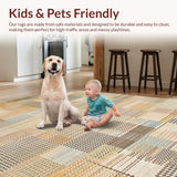 Ultra Soft Area Rug, Non Slip, Stain Resistant, Washable Area Rugs for Living Room, Bedroom, Artful Rustic Geometric Appeal(Beige)