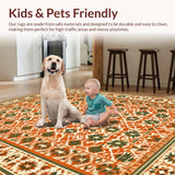 Ultra Soft Area Rug, Non Slip, Stain Resistant, Washable Area Rugs for Living Room, Bedroom, Bold Abstract Expressionist Theme(Orange)
