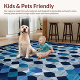 Ultra Soft Area Rug, Non Slip, Stain Resistant, Washable Area Rugs for Living Room, Bedroom, Luxurious Textured Striped Motif(Blue)