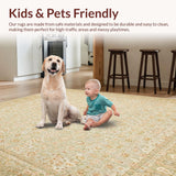 Ultra Soft Area Rug, Non Slip, Stain Resistant, Washable Area Rugs for Living Room, Bedroom, Transitional Style Area Neutral Design(Beige)