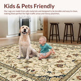 Ultra Soft Area Rug, Non Slip, Stain Resistant, Washable Area Rugs for Living Room, Bedroom, Sophisticated Subtle Beige Hues(Beige)