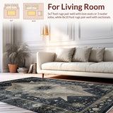 Ultra Soft Area Rug, Non Slip, Stain Resistant, Washable Area Rugs for Living Room, Bedroom, Elegant Ombre Cosmic Design(Gray)