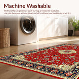 Ultra Soft Area Rug, Non Slip, Stain Resistant, Washable Area Rugs for Living Room, Bedroom, Chic Modern Abstract Design(Red)
