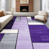 Ultra Soft Area Rug, Non Slip, Stain Resistant, Washable Area Rugs for Living Room, Bedroom, Elegant Plush Contemporary Style(Purple)