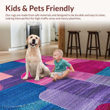 Ultra Soft Area Rug, Non Slip, Stain Resistant, Washable Area Rugs for Living Room, Bedroom, Colorful Abstract Artful Motif(Pink)
