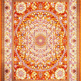 Ultra Soft Area Rug, Non Slip, Stain Resistant, Washable Area Rugs for Living Room, Bedroom, Vibrant Circle Mandala Aesthetic(Gold)