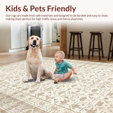 Ultra Soft Area Rug, Non Slip, Stain Resistant, Washable Area Rugs for Living Room, Bedroom, Minimalist Abstract Lattice Arrangement(Beige)