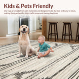 Ultra Soft Area Rug, Non Slip, Stain Resistant, Washable Area Rugs for Living Room, Bedroom, Stylish Neutral Abstract Elements(White)