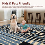 Ultra Soft Area Rug, Non Slip, Stain Resistant, Washable Area Rugs for Living Room, Bedroom, Contemporary Stained Patterned Surface(Blue)