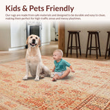 Ultra Soft Area Rug, Non Slip, Stain Resistant, Washable Area Rugs for Living Room, Bedroom, Beige Rustic Kitchen(Orange)