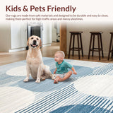 Ultra Soft Area Rug, Non Slip, Stain Resistant, Washable Area Rugs for Living Room, Bedroom, Transitional Cozy Cloud-Like Texture(Blue)