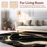 Ultra Soft Area Rug, Non Slip, Stain Resistant, Washable Area Rugs for Living Room, Bedroom, Sleek Abstract Minimalist Appeal(Black)