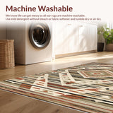 Ultra Soft Area Rug, Non Slip, Stain Resistant, Washable Area Rugs for Living Room, Bedroom, Muted Terracotta Abstract Motif(Gray)