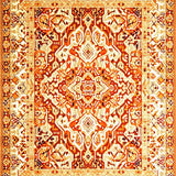 Ultra Soft Area Rug, Non Slip, Stain Resistant, Washable Area Rugs for Living Room, Bedroom, Bohemian Area(Orange)