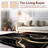 Ultra Soft Area Rug, Non Slip, Stain Resistant, Washable Area Rugs for Living Room, Bedroom, Graceful Organic Shape Play(Black)