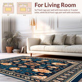Ultra Soft Area Rug, Non Slip, Stain Resistant, Washable Area Rugs for Living Room, Bedroom, Patio Oasis(Blue)