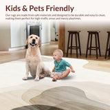 Ultra Soft Area Rug, Non Slip, Stain Resistant, Washable Area Rugs for Living Room, Bedroom, Warm Beige Whisper Area for Gentle Play & Soothing Relaxation(Beige)