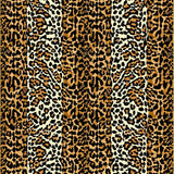 Ultra Soft Area Rug, Non Slip, Stain Resistant, Washable Area Rugs for Living Room, Bedroom, Bold Safari Inspired Decor(Brown)